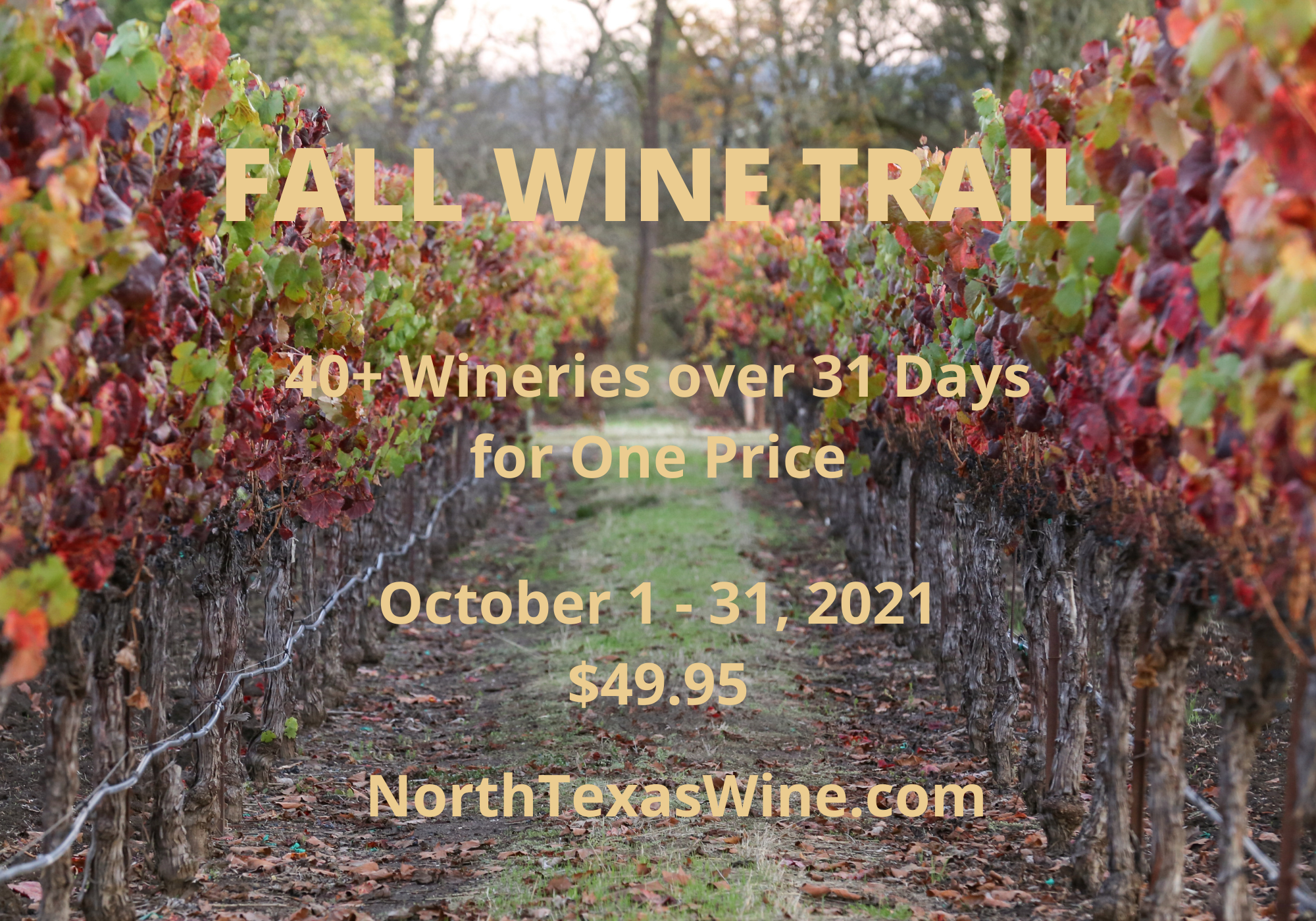 Fall Wine Trail