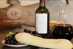 Fortunata - Winery Page